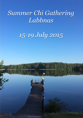 Chi Gathering Labbnas 2015
