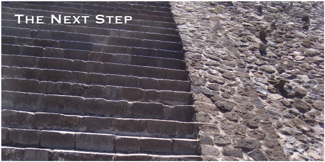 The Next Step header image